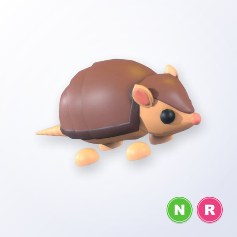 Armadillo NR | Adopt Me