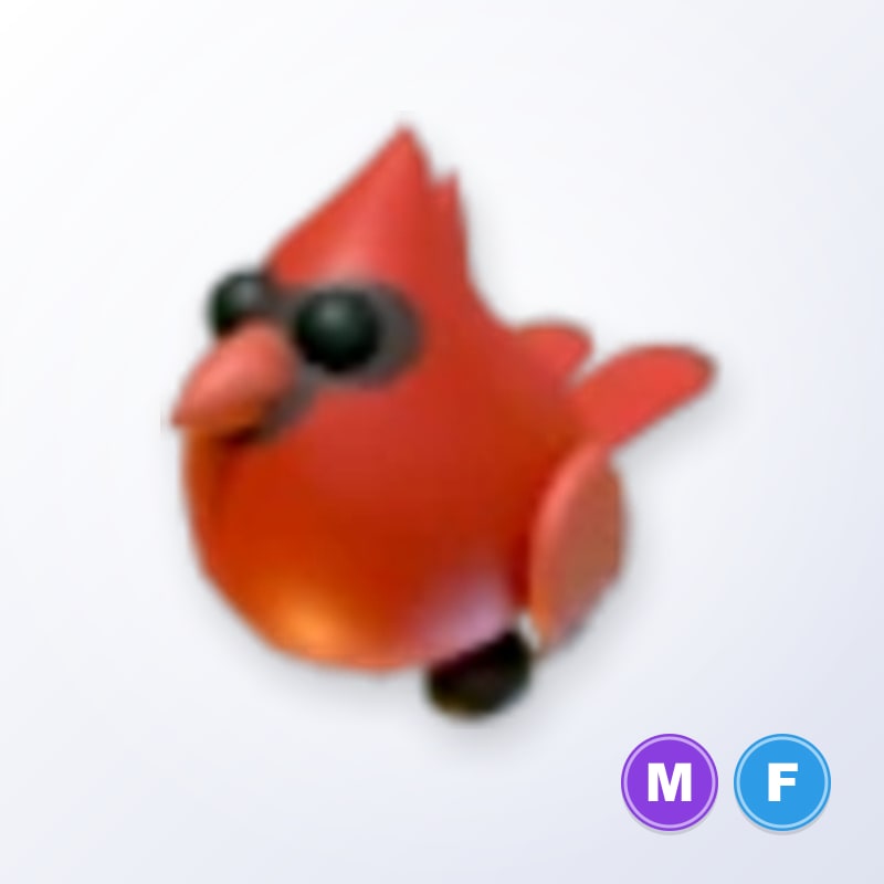 Red Cardinal MF | Adopt Me