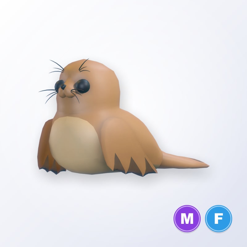 Galapagos Sea Lion MF | Adopt Me