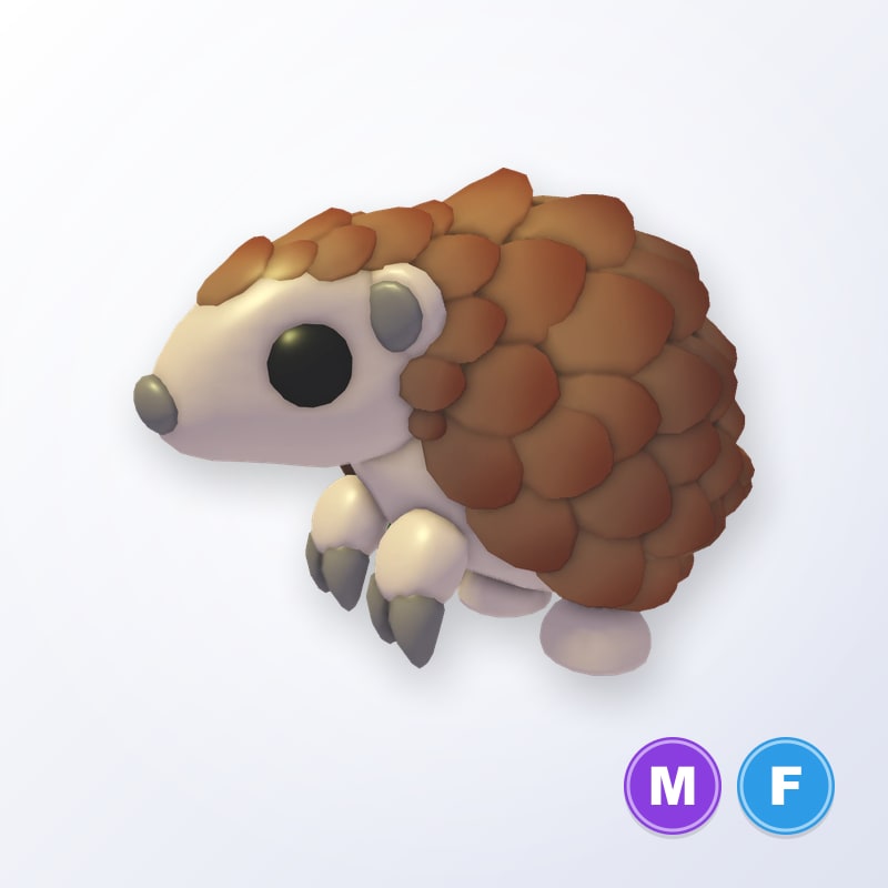 Pangolin MF | Adopt Me
