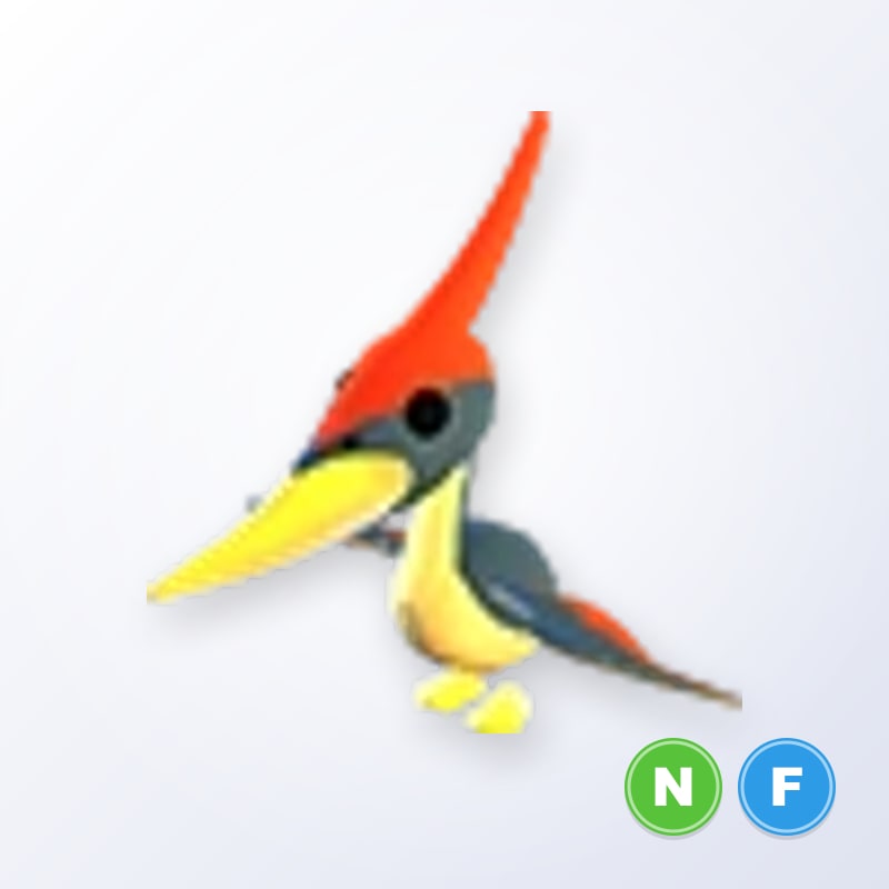 Pterodactyl NF | Adopt Me