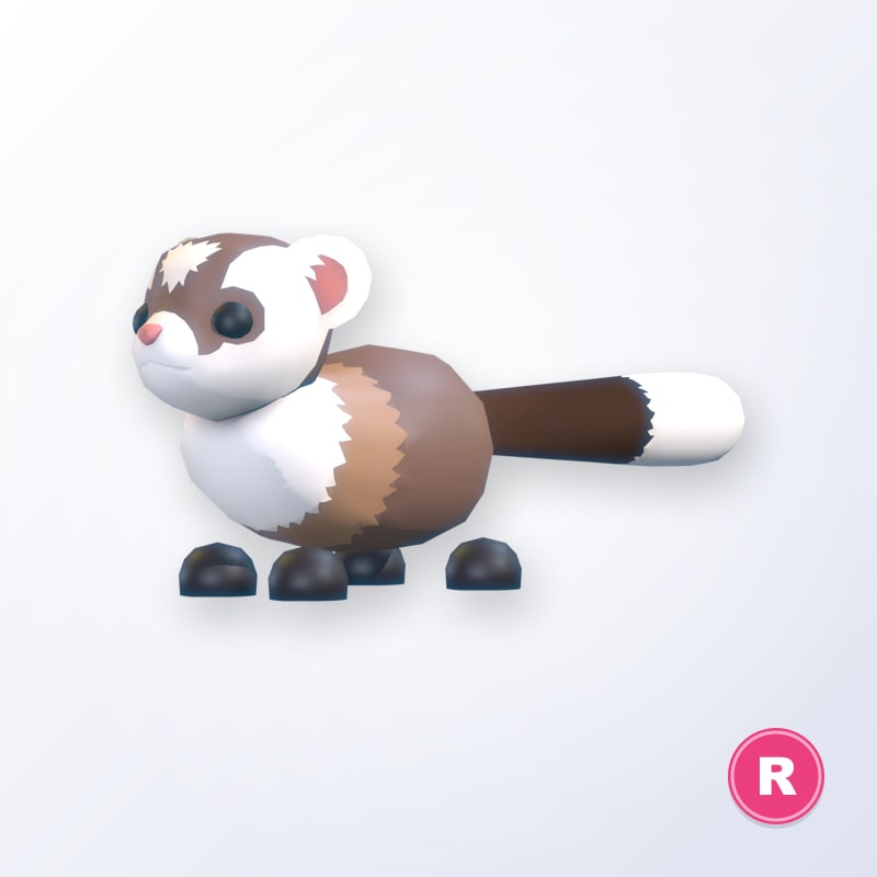 Black-Footed Ferret R | Adopt Me