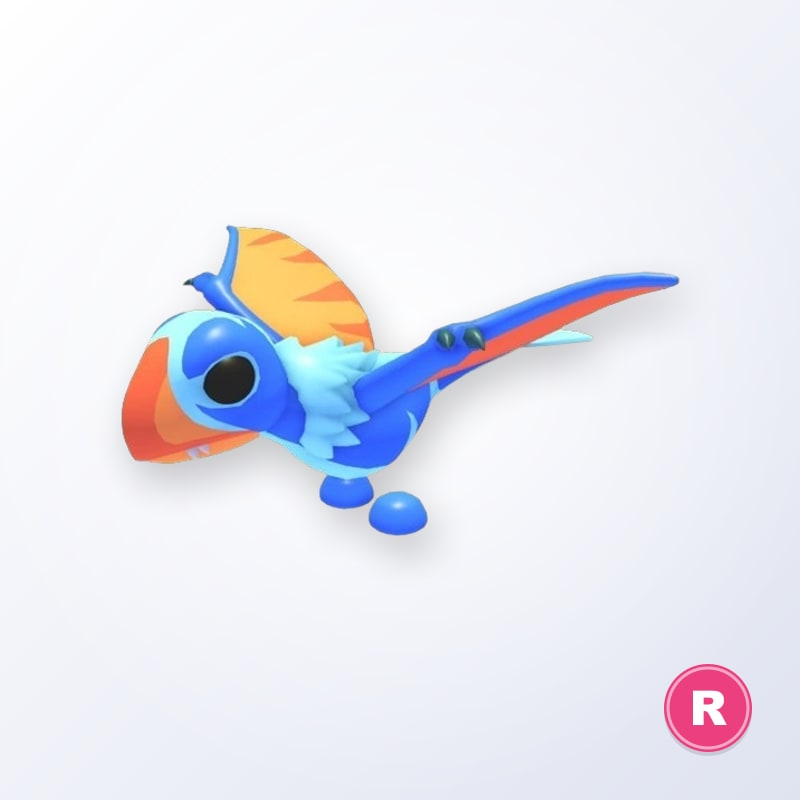 Dimorphodon R | Adopt Me
