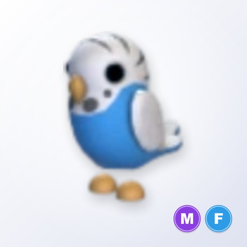 Parakeet MF | Adopt Me