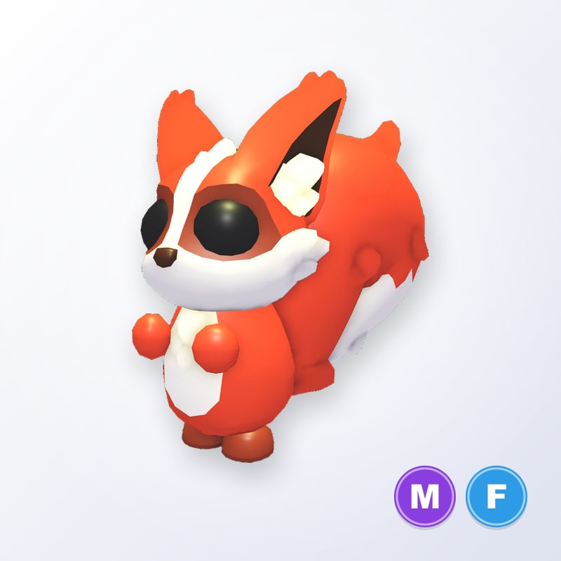 Ratatoskr MF | Adopt Me
