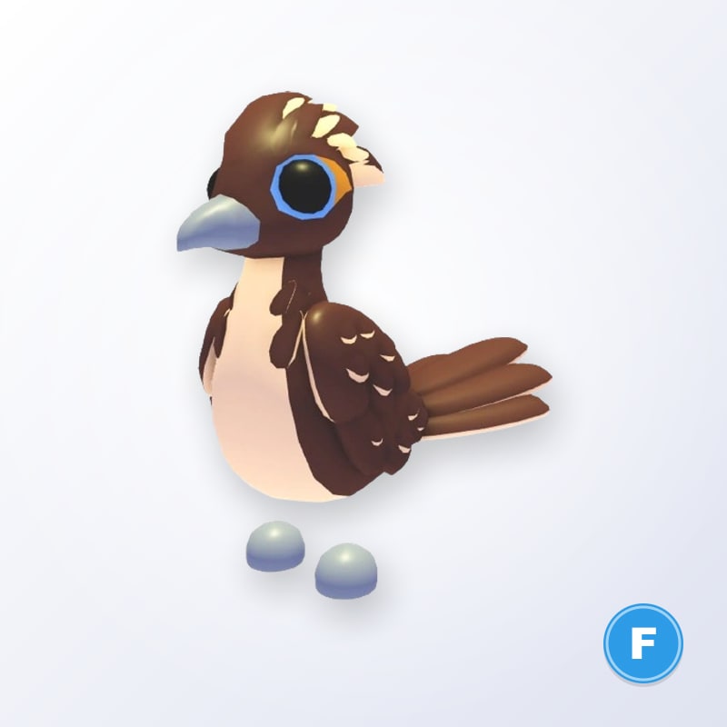 Roadrunner F | Adopt Me