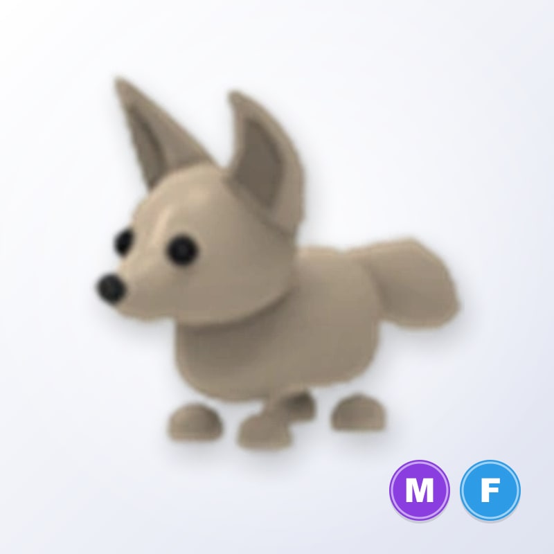Fennec Fox MF | Adopt Me
