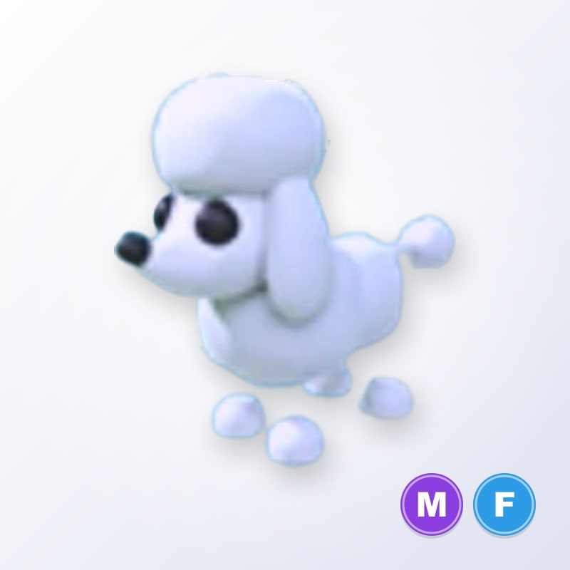 Poodle MF | Adopt Me