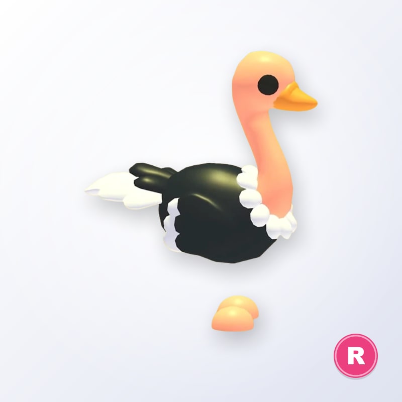 Ostrich R | Adopt Me