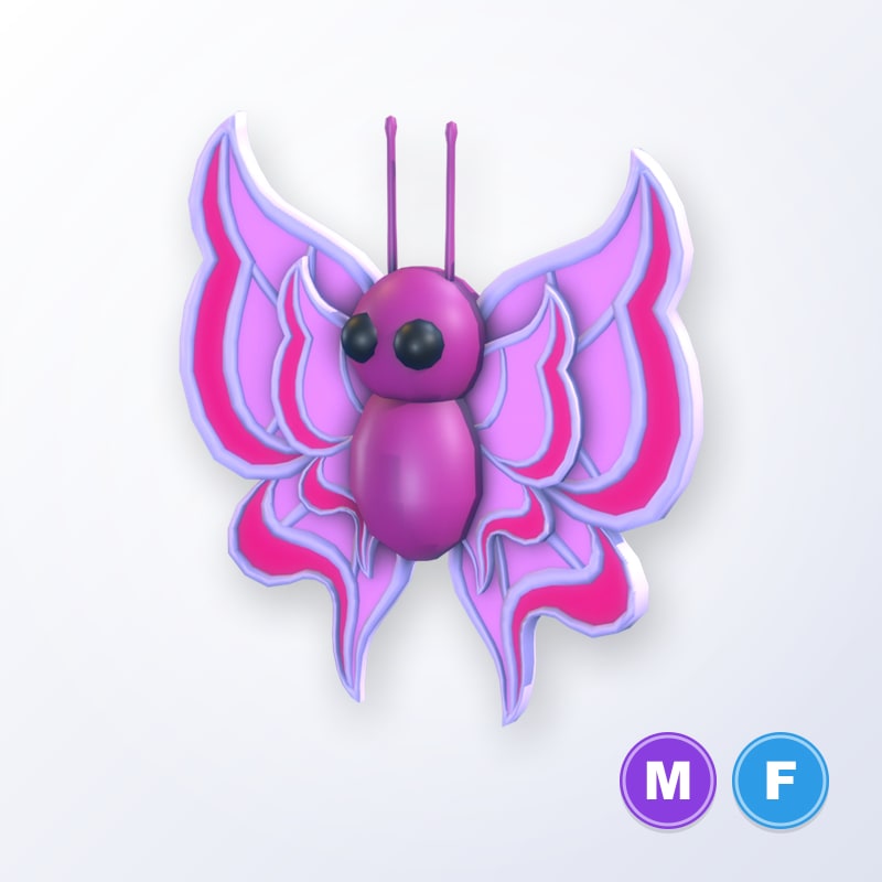 Orchid Butterfly MF | Adopt Me