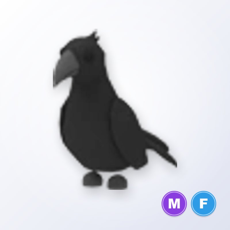 Crow MF | Adopt Me
