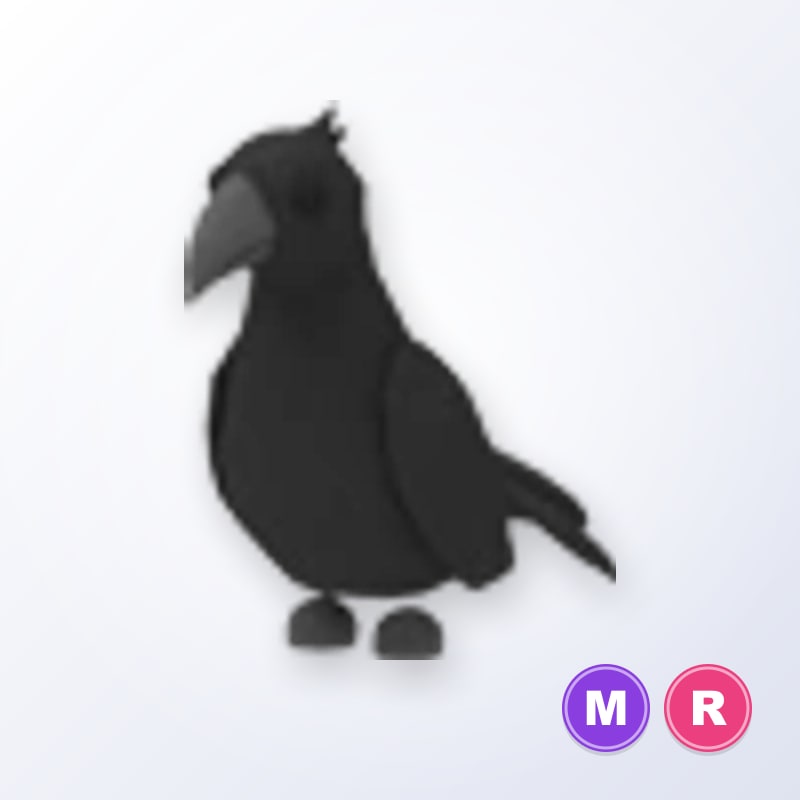 Crow MR | Adopt Me