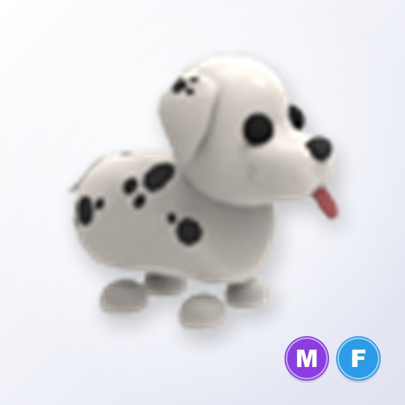 Dalmatian MF | Adopt Me