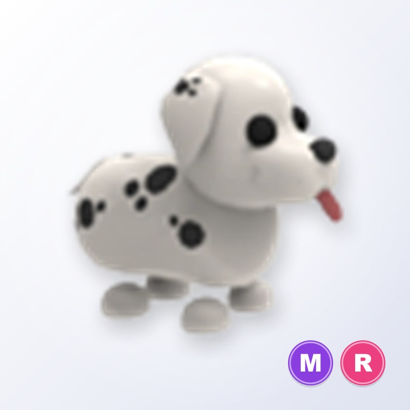 Dalmatian MR | Adopt Me