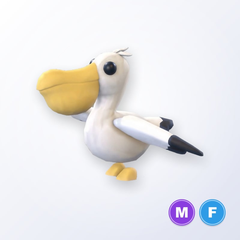Pelican MF | Adopt Me