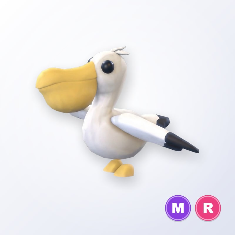 Pelican MR | Adopt Me