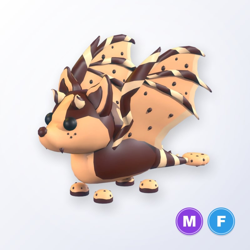 Chocolate Chip Bat Dragon MF | Adopt Me