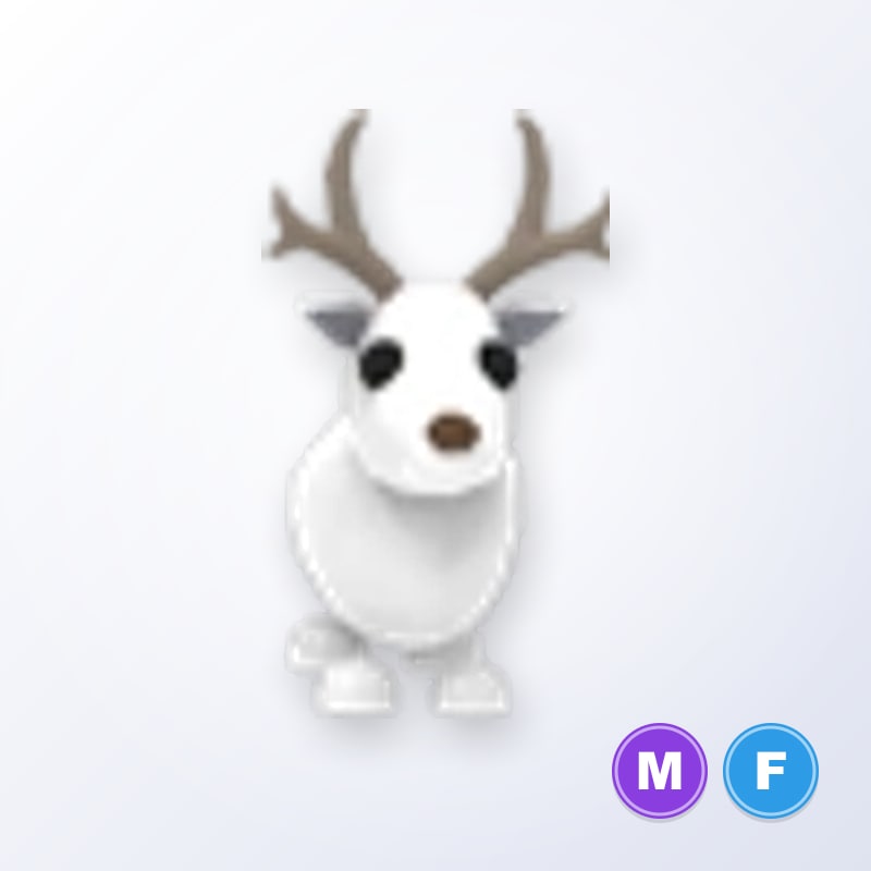 Arctic Reindeer MF | Adopt Me