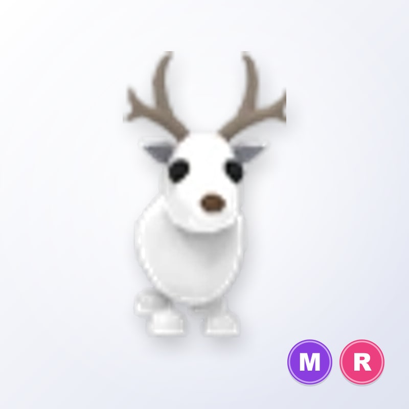 Arctic Reindeer MR | Adopt Me