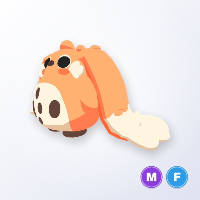 Cabbit MF | Adopt Me