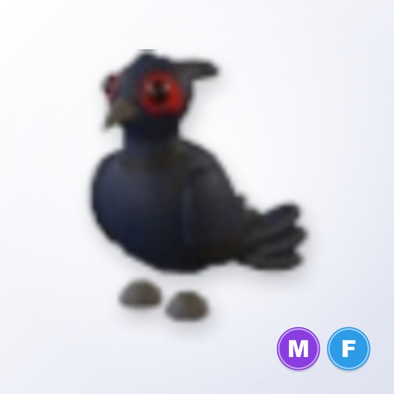 Black-Chested Pheasant MF | Adopt Me