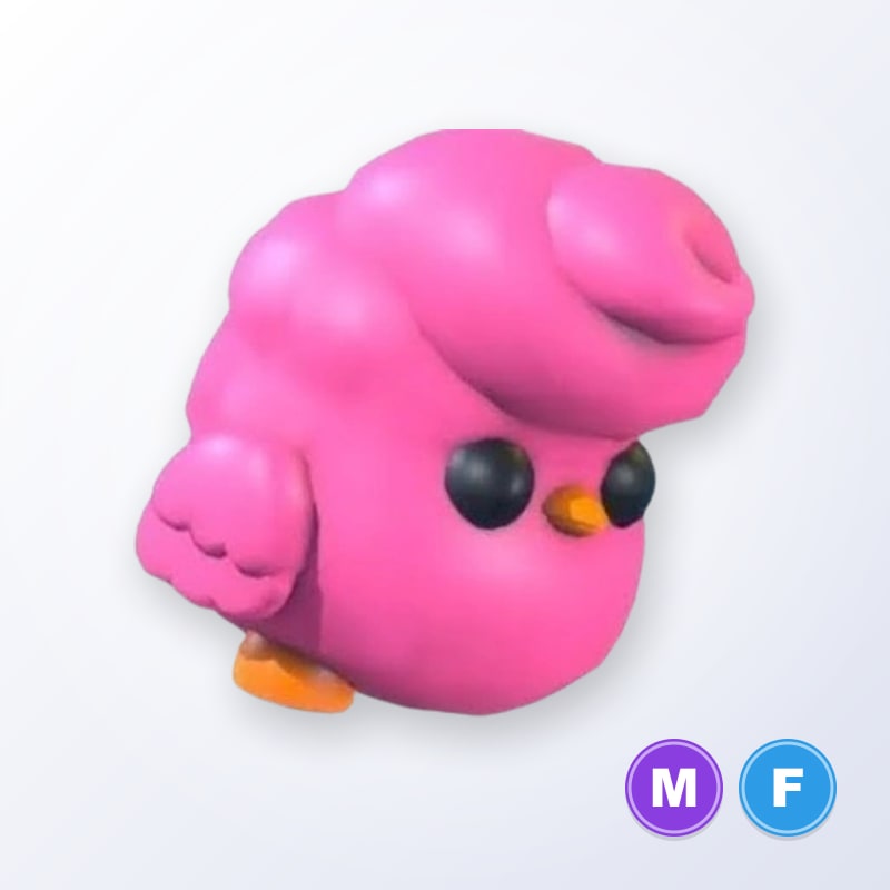Candyfloss Chick MF | Adopt Me