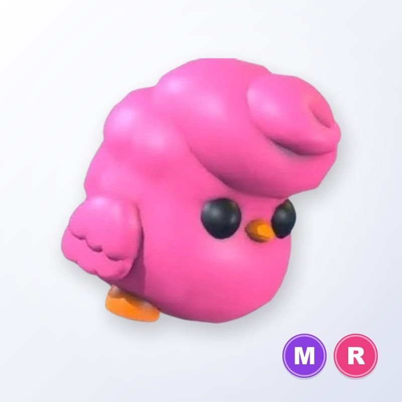 Candyfloss Chick MR | Adopt Me
