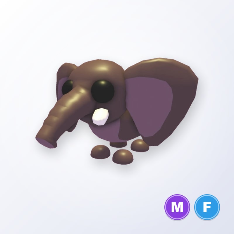 Bush Elephant MF | Adopt Me