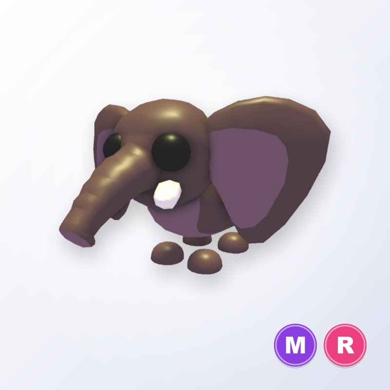Bush Elephant MR | Adopt Me