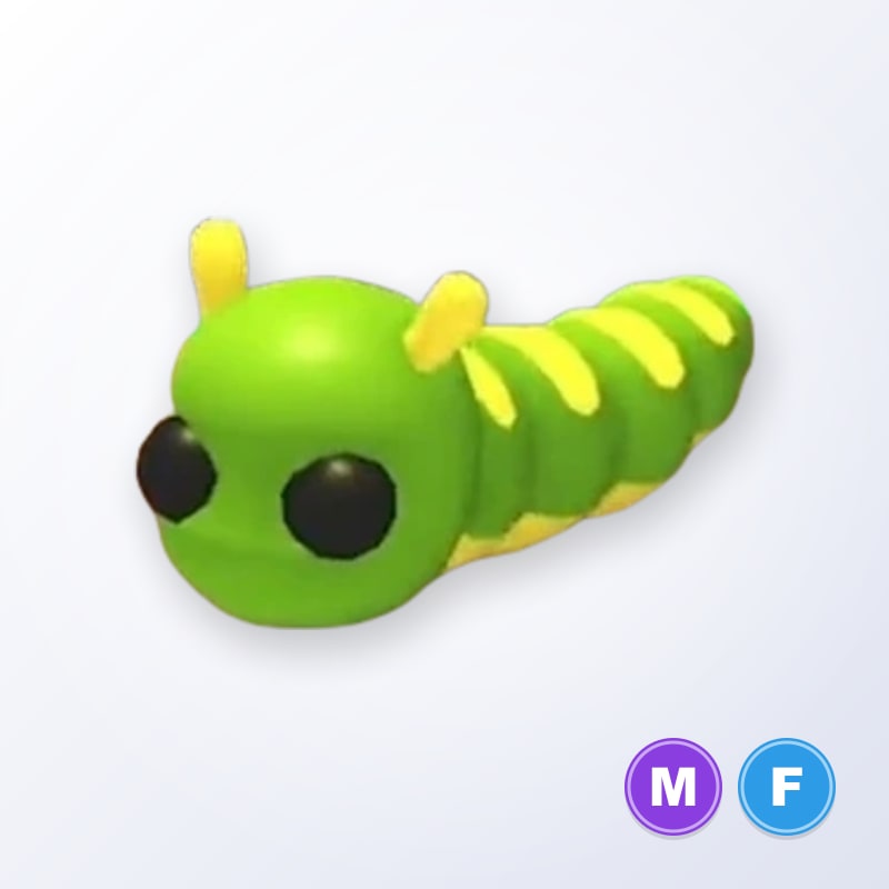 Caterpillar MF | Adopt Me