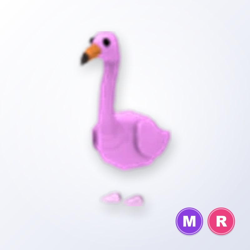 Flamingo MR | Adopt Me