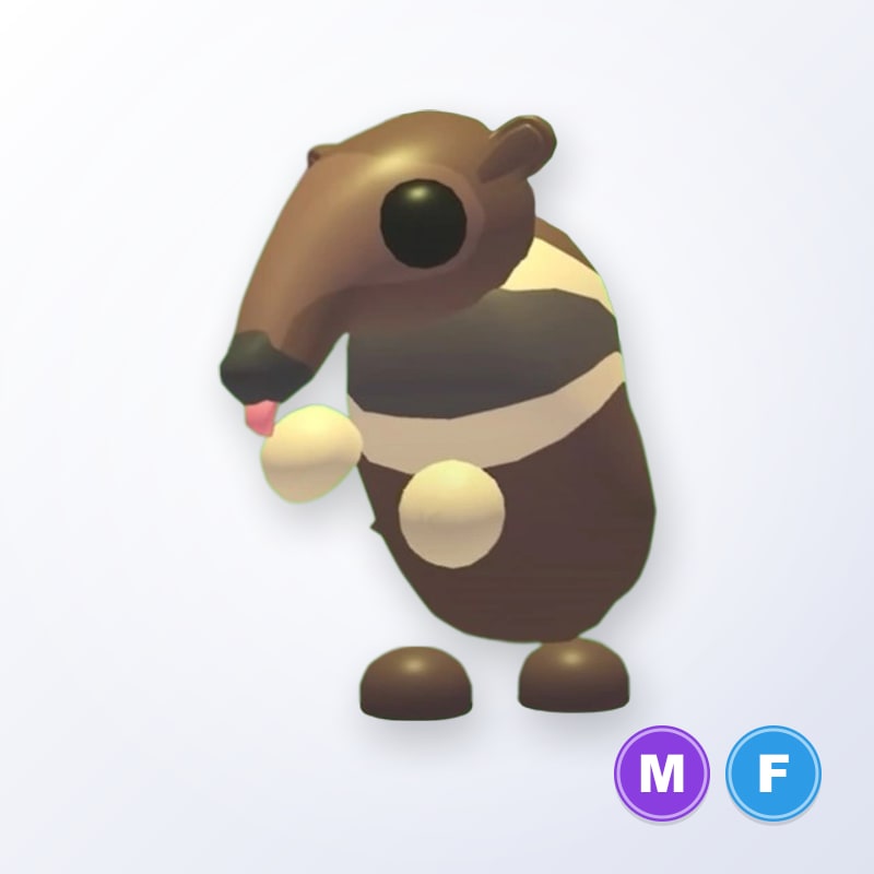 Giant Anteater MF | Adopt Me