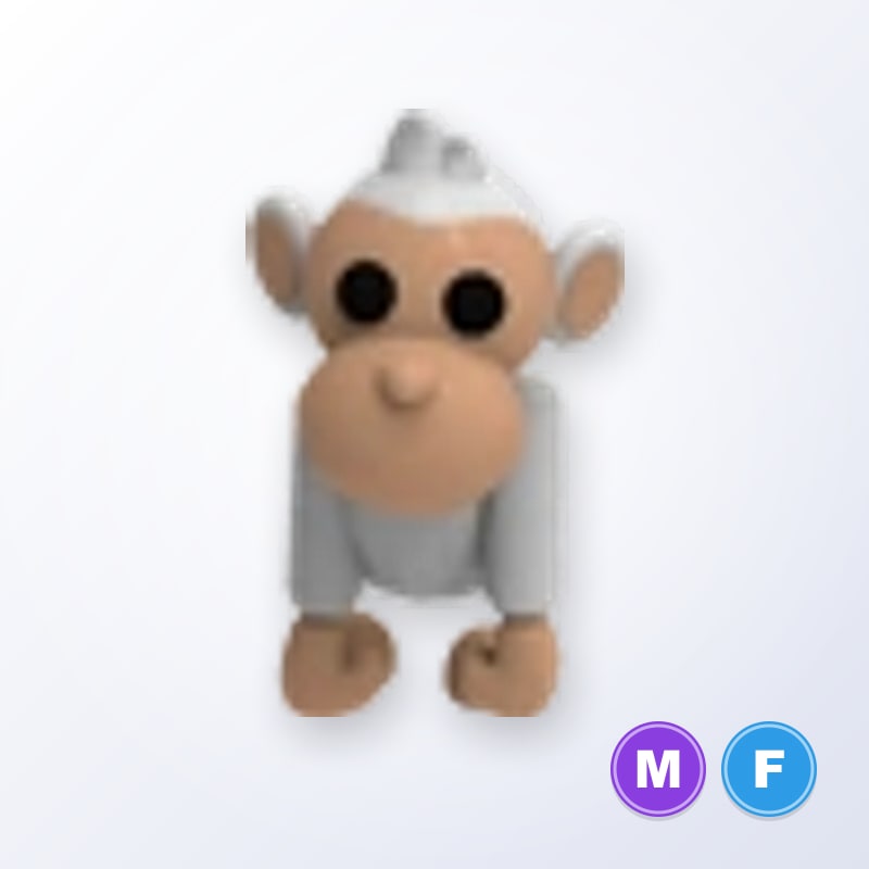 Albino Monkey MF | Adopt Me