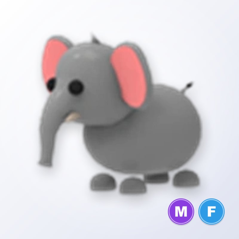 Elephant MF | Adopt Me