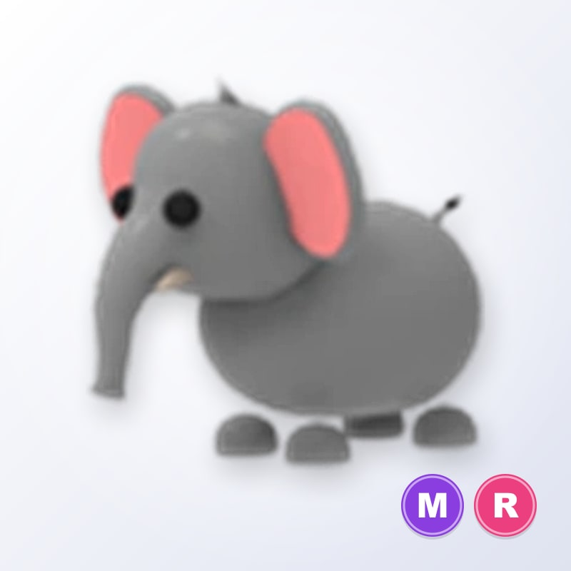 Elephant MR | Adopt Me