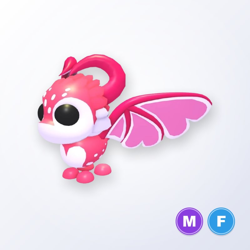 Cupid Dragon MF | Adopt Me
