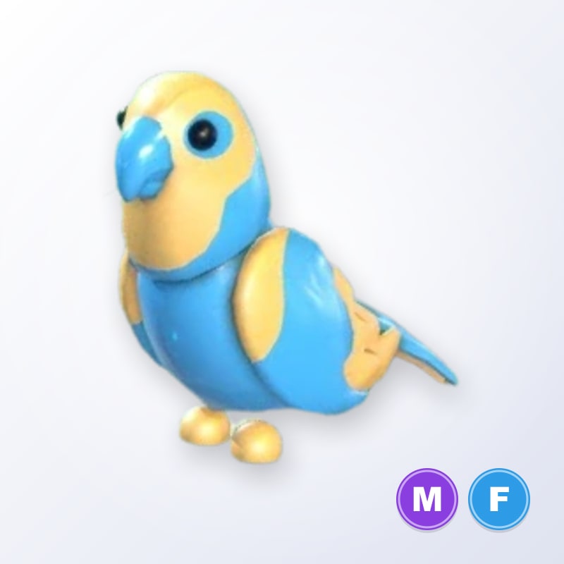 Diamond Amazon MF | Adopt Me