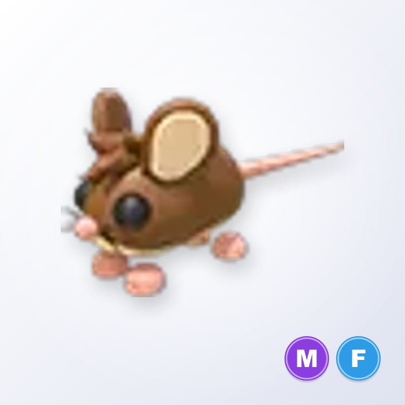 Field Mouse MF | Adopt Me