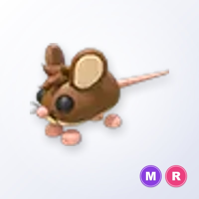 Field Mouse MR | Adopt Me