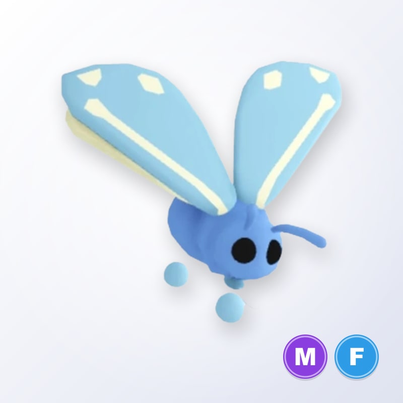 Glacier Moth MF | Adopt Me