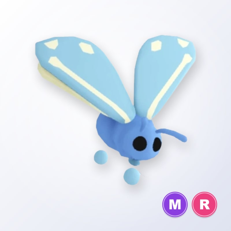 Glacier Moth MR | Adopt Me