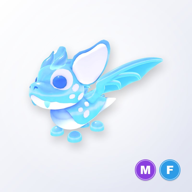 Arctic Dusk Dragon MF | Adopt Me