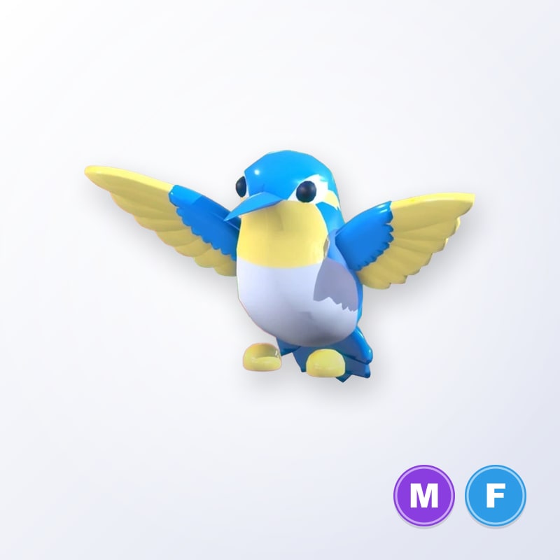 Diamond Hummingbird MF | Adopt Me