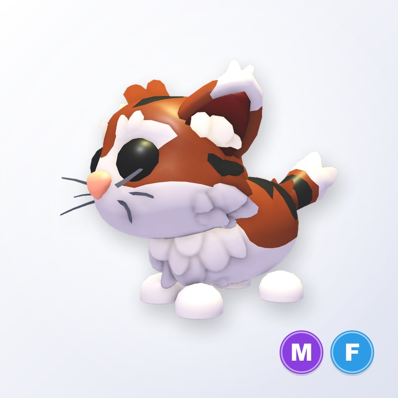 Munchkin Cat MF | Adopt Me
