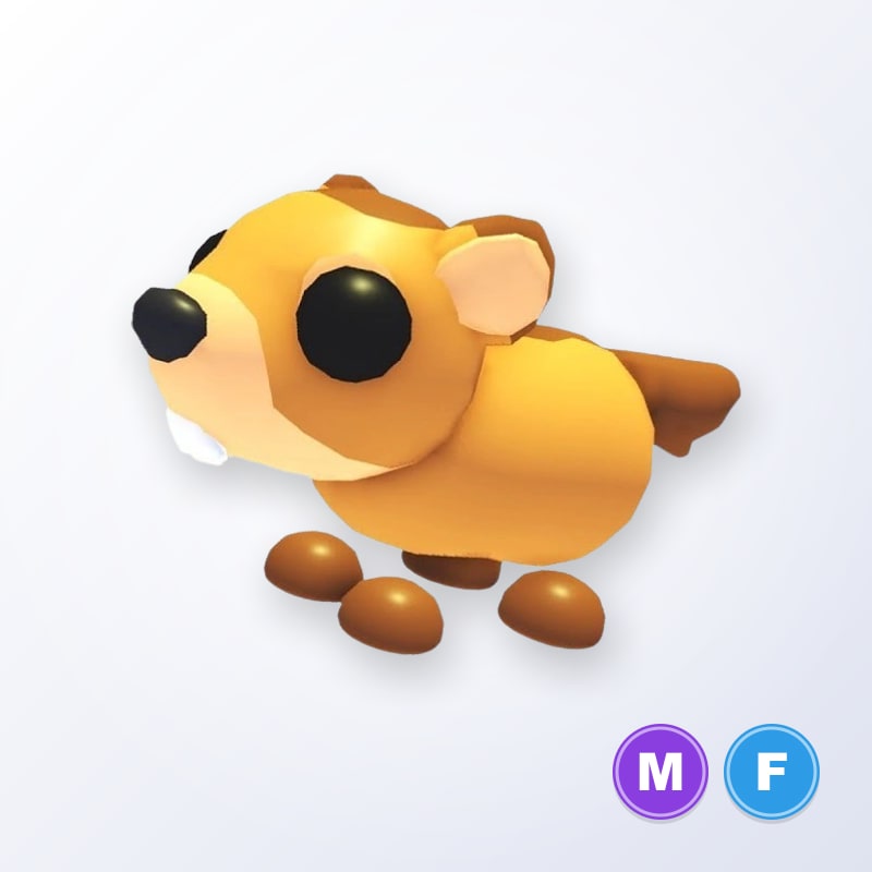 Groundhog MF | Adopt Me