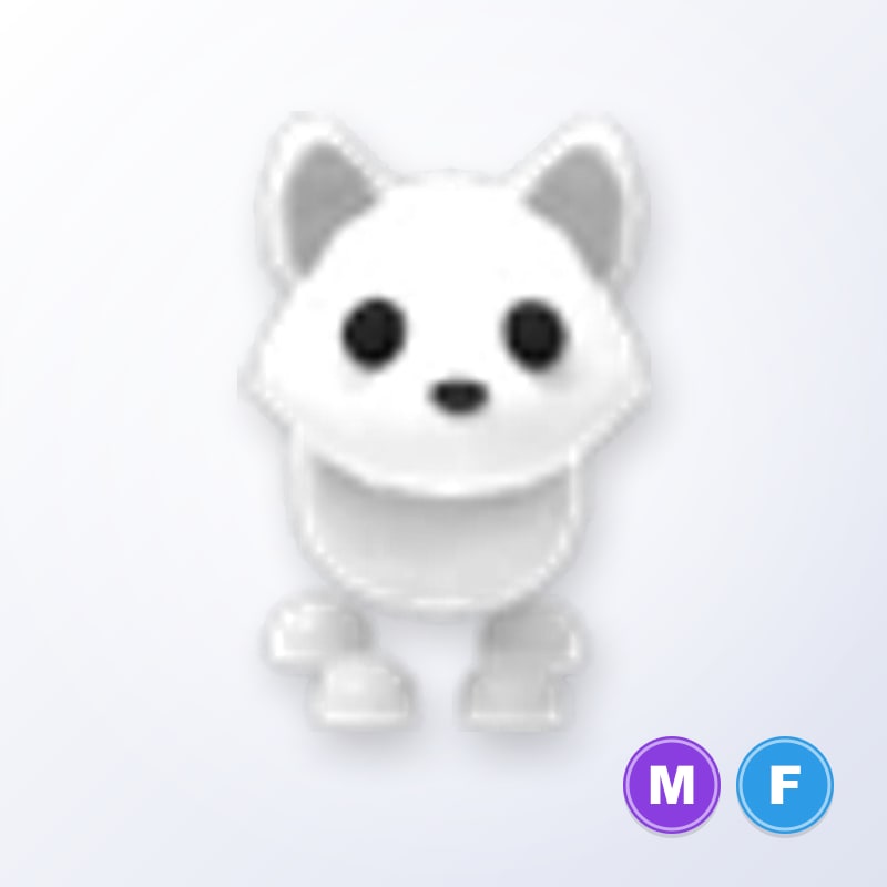 Arctic Fox MF | Adopt Me