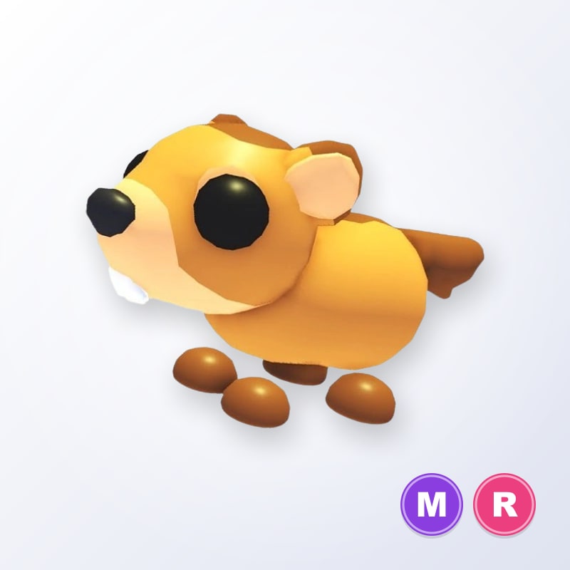 Groundhog MR | Adopt Me