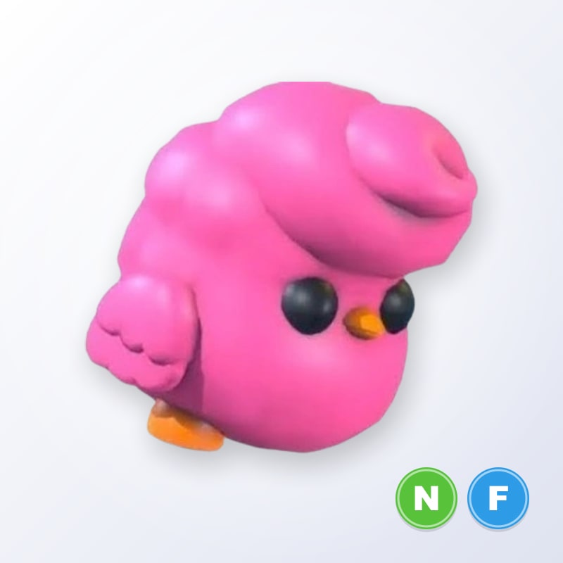 Candyfloss Chick NF | Adopt Me
