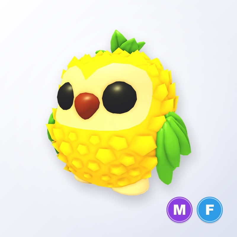 Pineapple Owl MF | Adopt Me