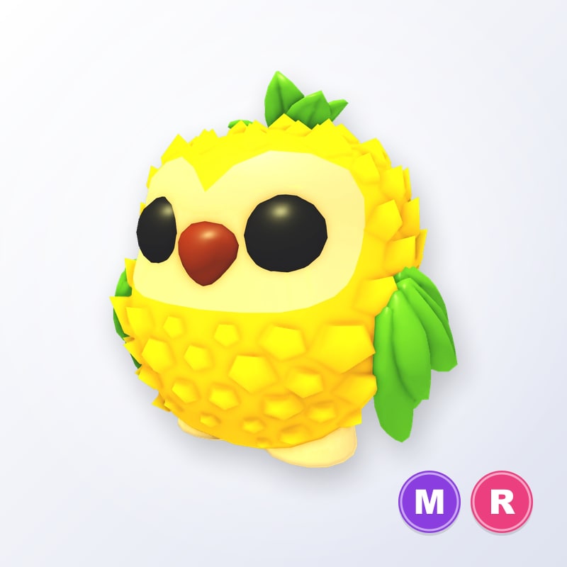 Pineapple Owl MR | Adopt Me